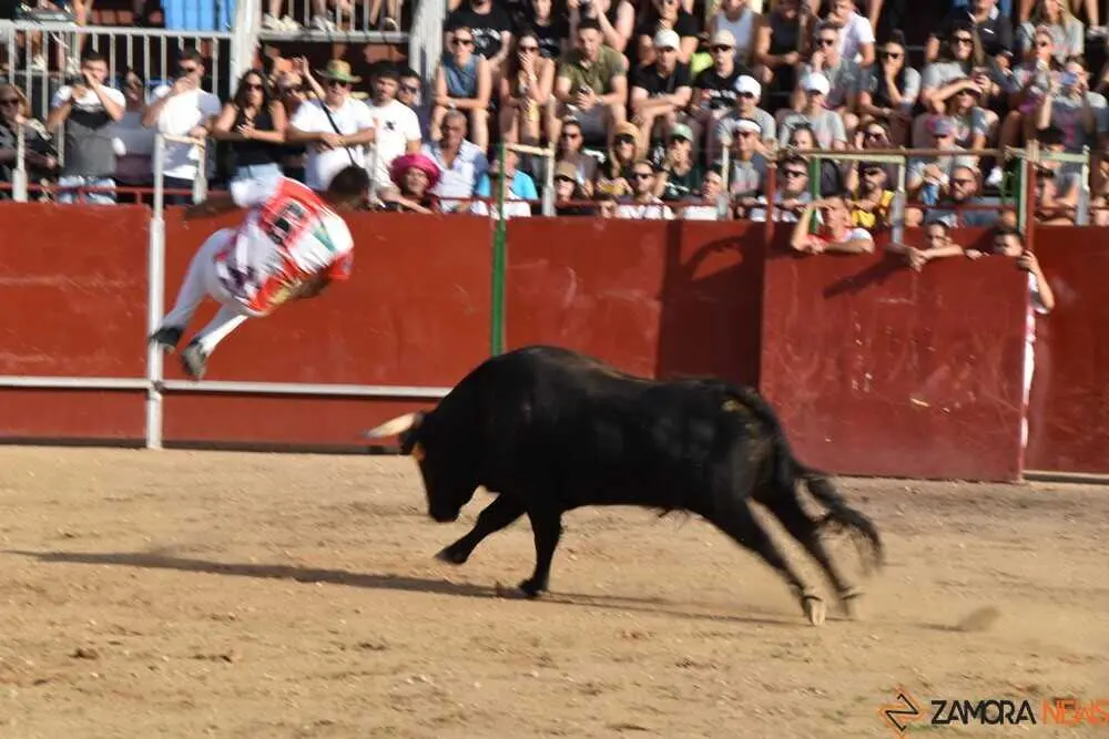 Cortes moraleja Zamora 2026_90