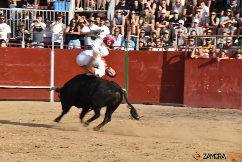 Cortes moraleja Zamora 2026_91