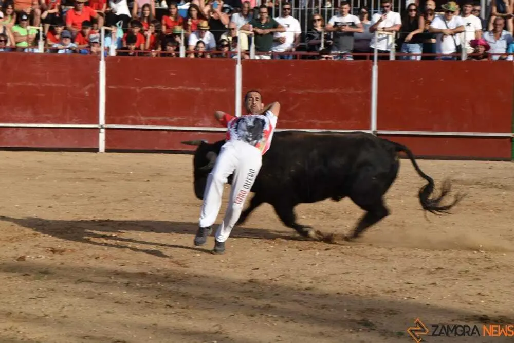 Cortes moraleja Zamora 2026_92