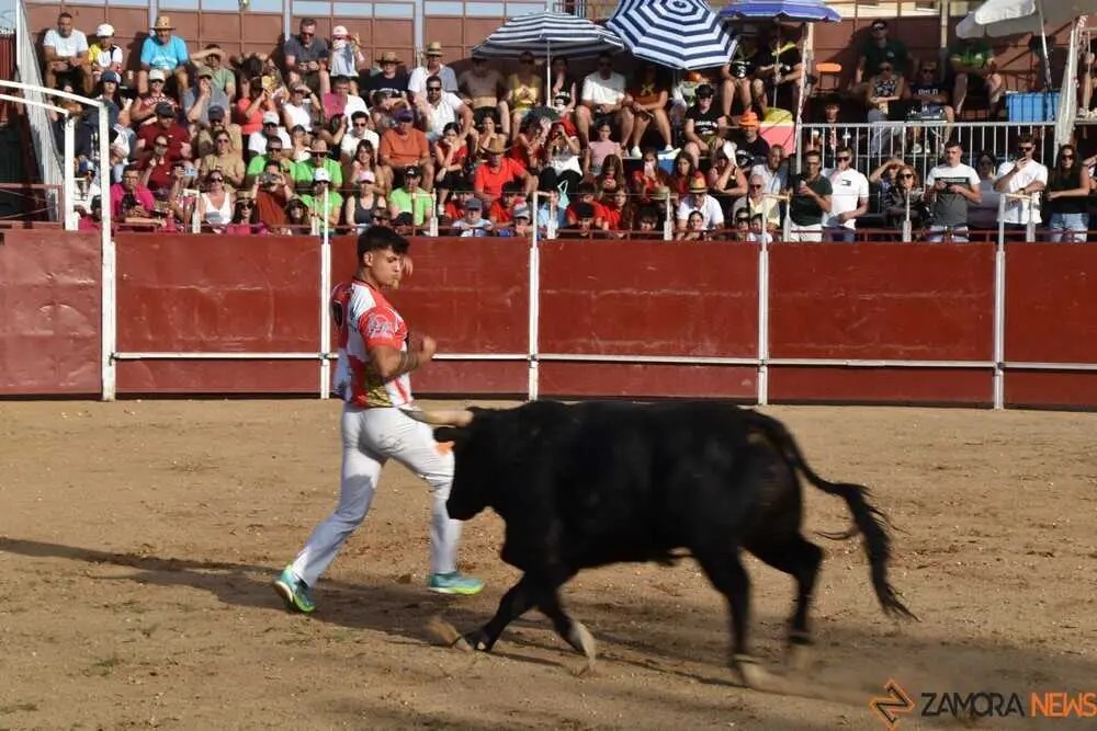 Cortes moraleja Zamora 2026_94