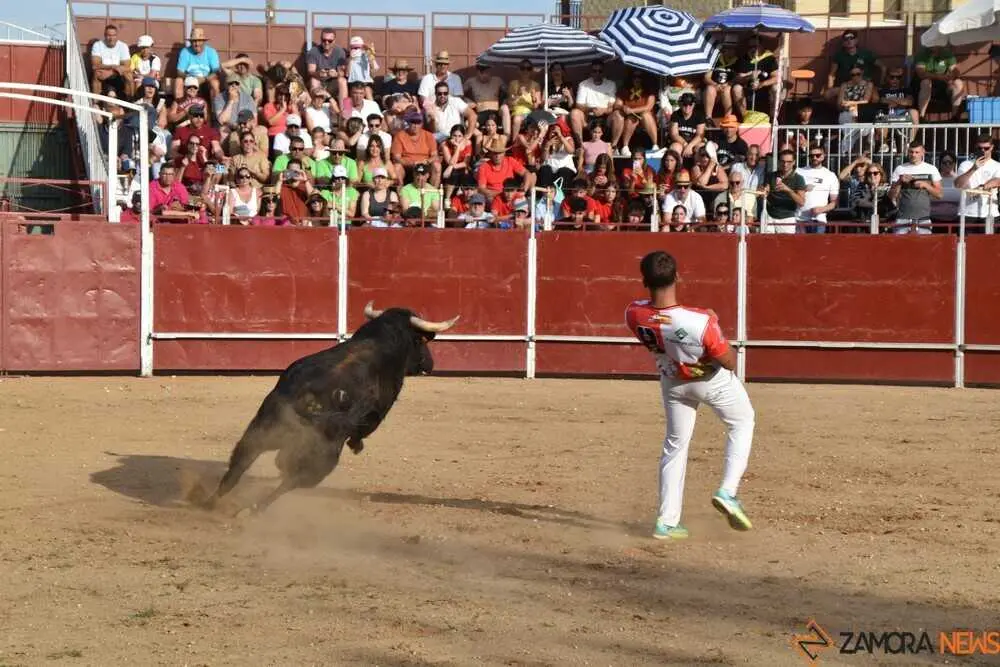 Cortes moraleja Zamora 2026_95