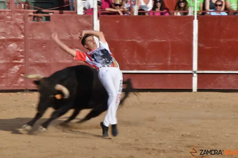 Cortes moraleja Zamora 2026_99