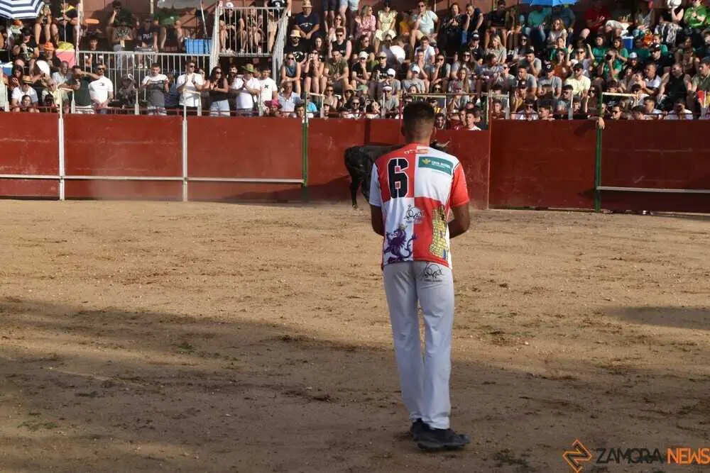 Cortes moraleja Zamora 2026_100