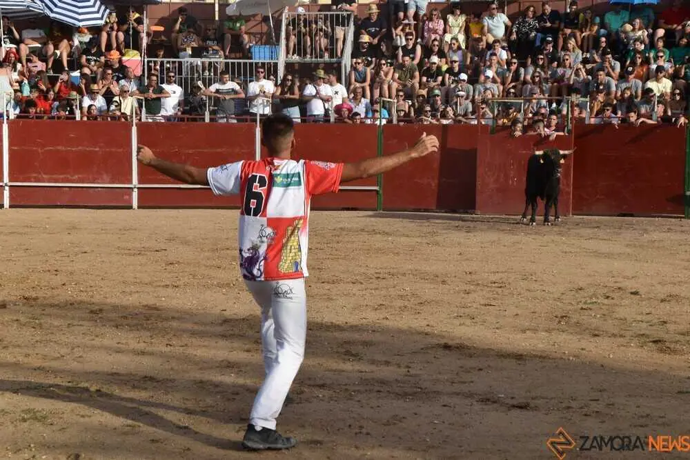 Cortes moraleja Zamora 2026_102