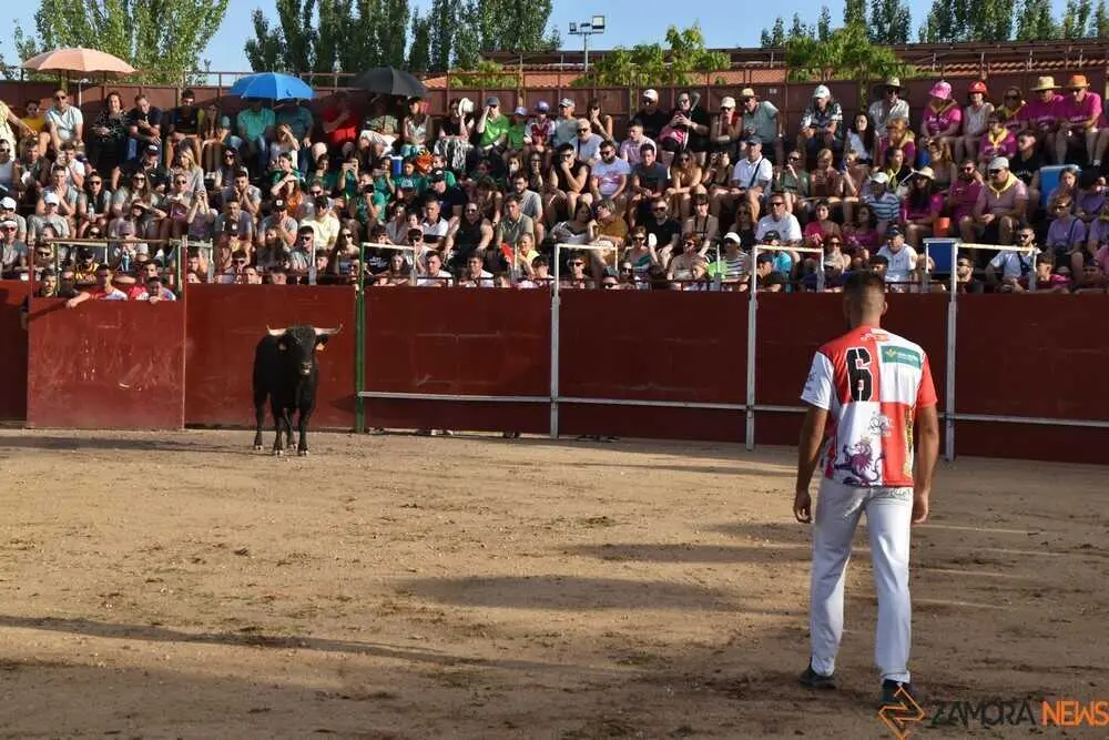 Cortes moraleja Zamora 2026_103