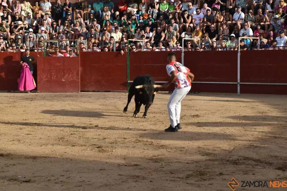 Cortes moraleja Zamora 2026_104