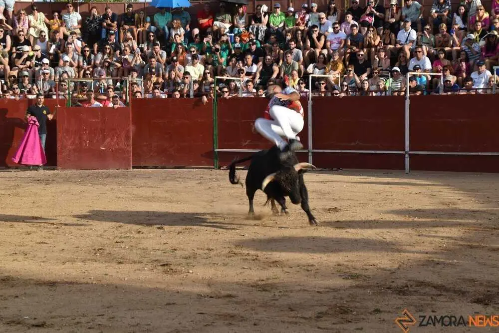 Cortes moraleja Zamora 2026_105