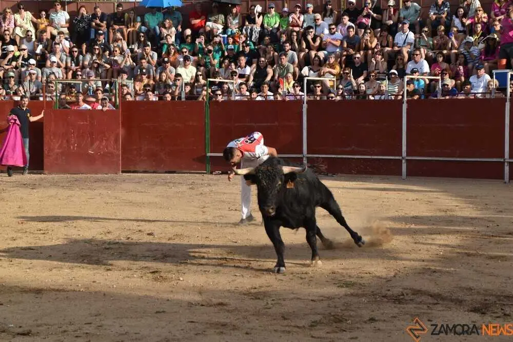 Cortes moraleja Zamora 2026_106