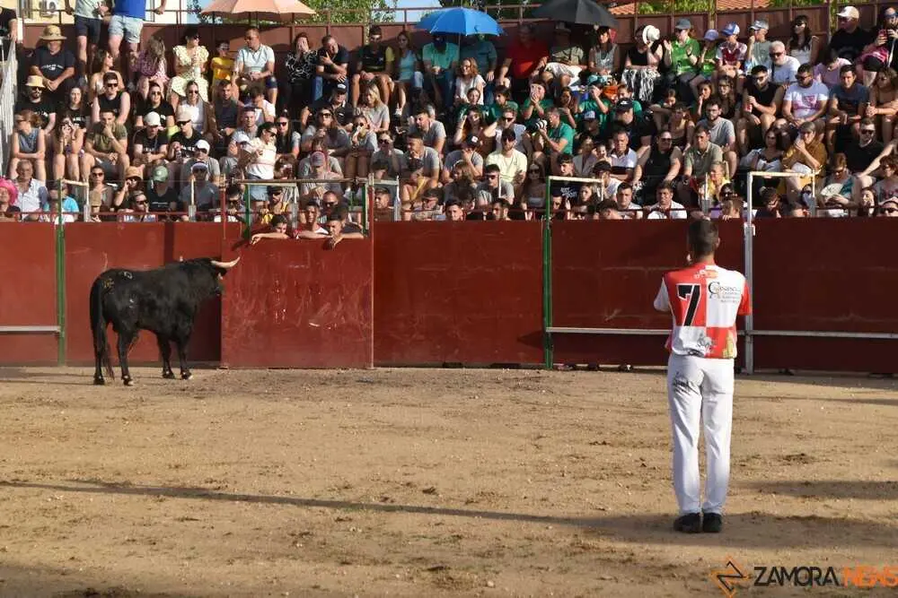 Cortes moraleja Zamora 2026_107
