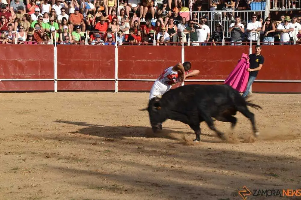 Cortes moraleja Zamora 2026_108