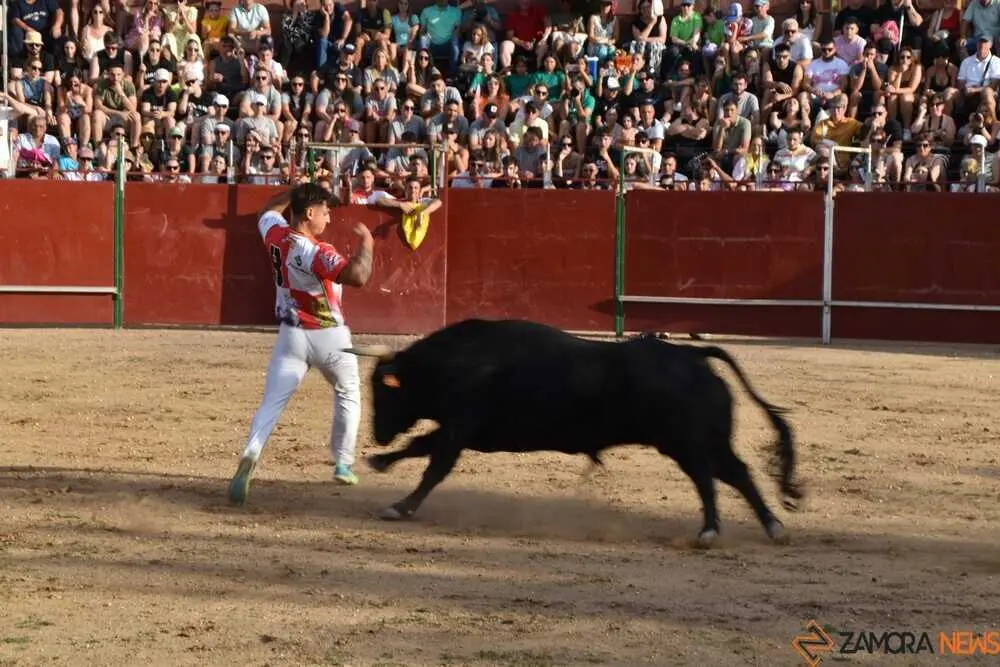 Cortes moraleja Zamora 2026_110