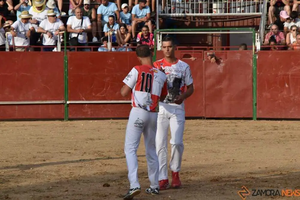 Cortes moraleja Zamora 2026_124