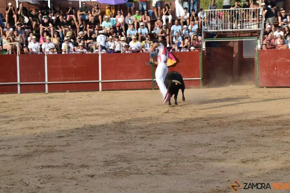 Cortes moraleja Zamora 2026_128