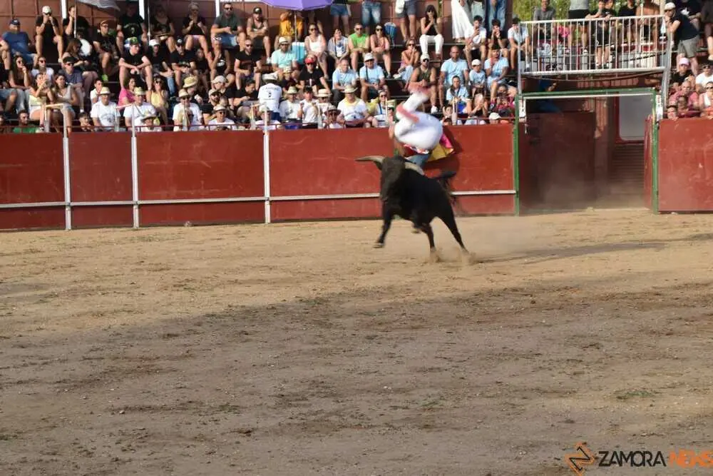 Cortes moraleja Zamora 2026_129