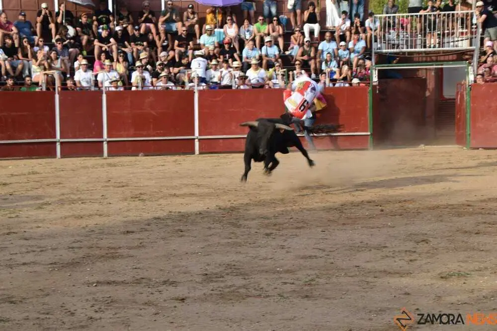 Cortes moraleja Zamora 2026_130