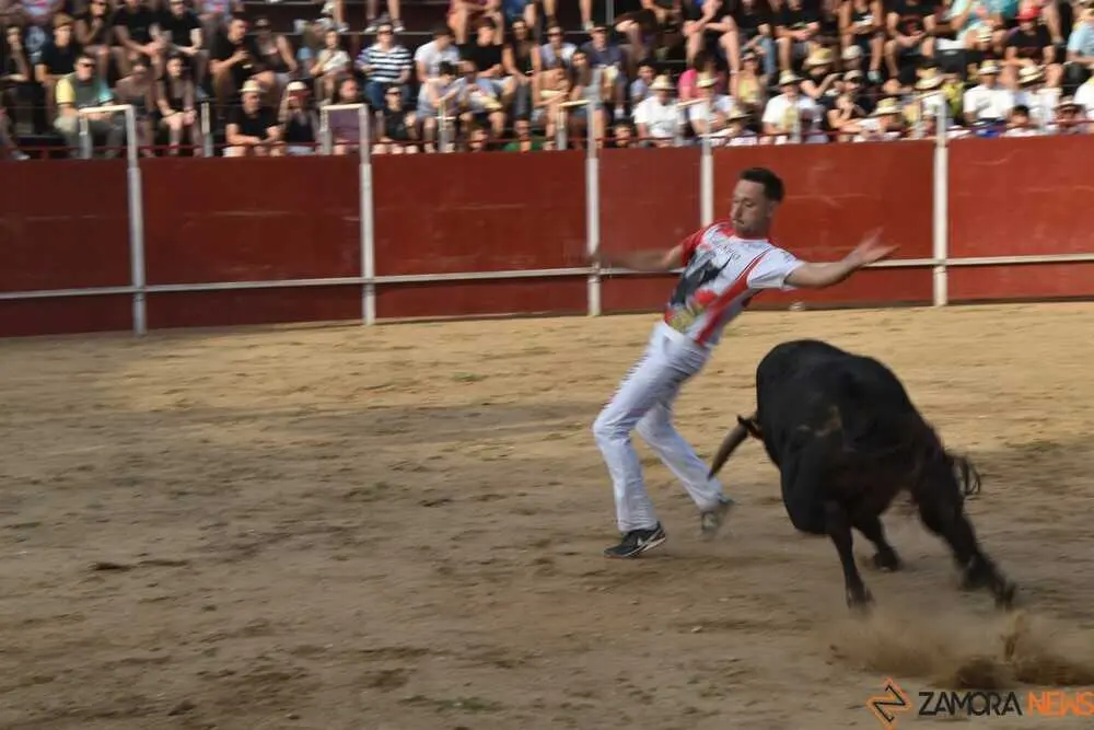 Cortes moraleja Zamora 2026_131