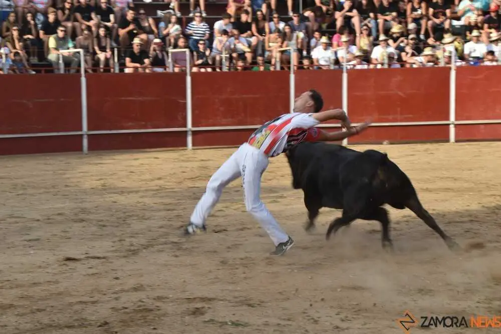 Cortes moraleja Zamora 2026_132