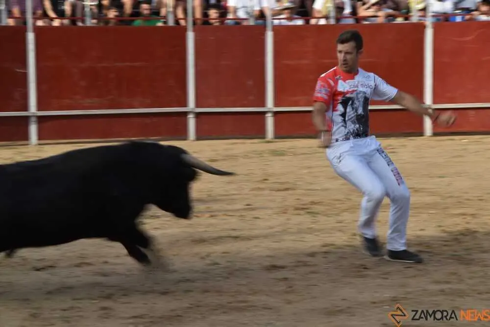 Cortes moraleja Zamora 2026_133