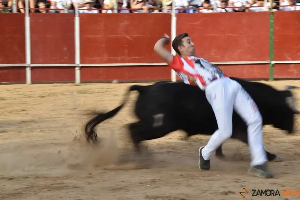 Cortes moraleja Zamora 2026_134