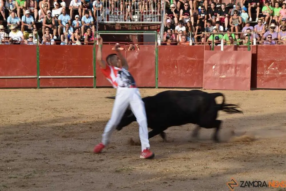Cortes moraleja Zamora 2026_135
