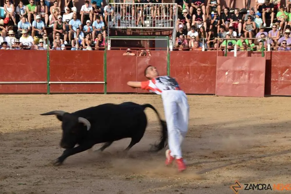 Cortes moraleja Zamora 2026_136