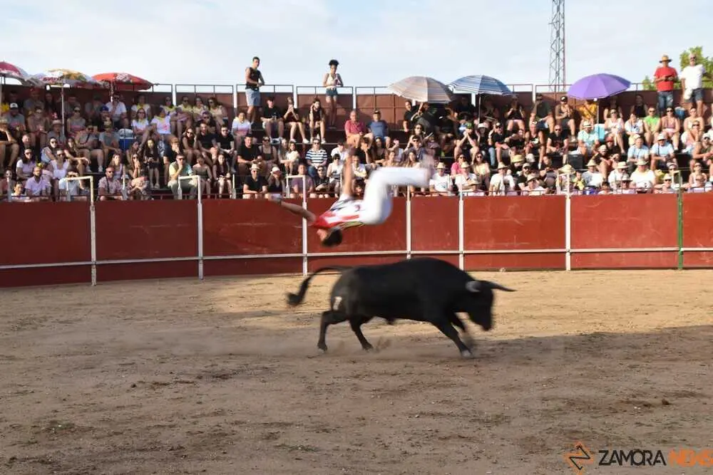 Cortes moraleja Zamora 2026_138