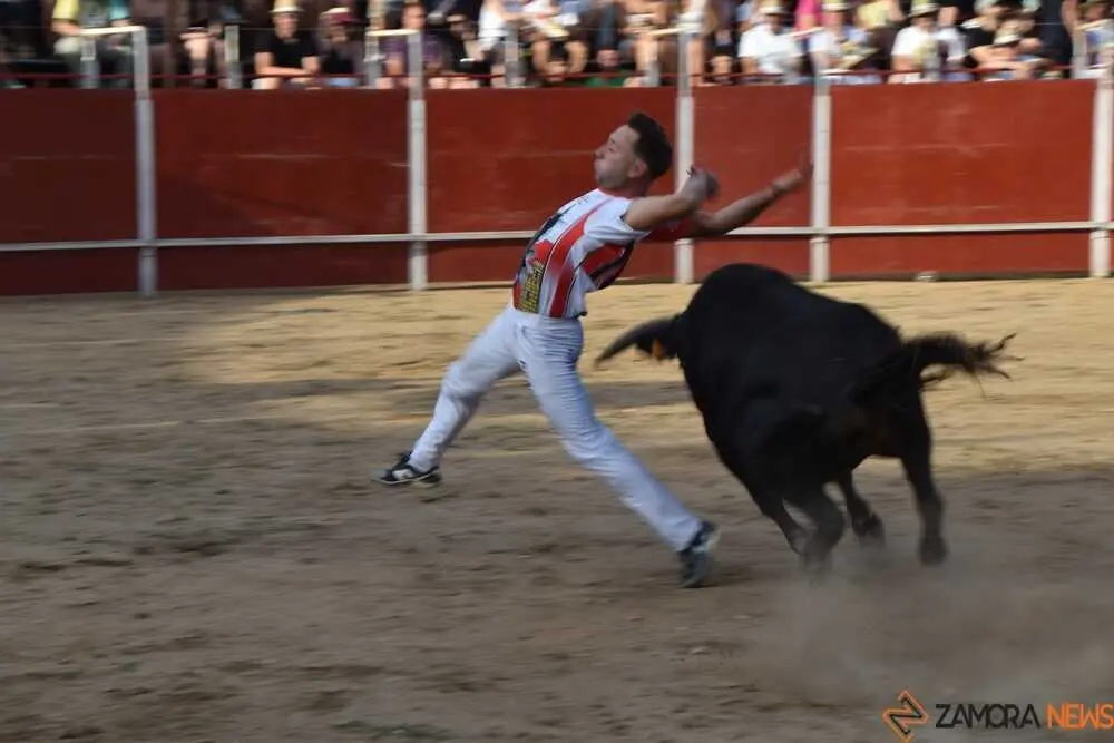 Cortes moraleja Zamora 2026_139