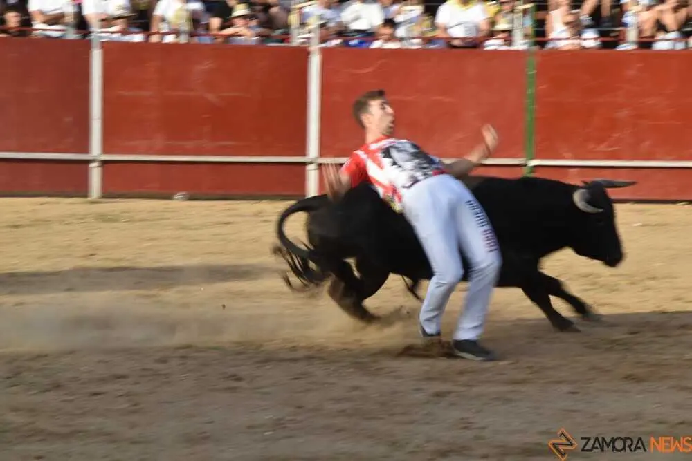 Cortes moraleja Zamora 2026_140
