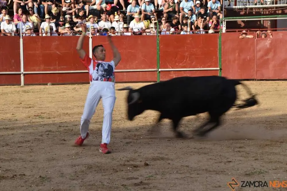 Cortes moraleja Zamora 2026_142