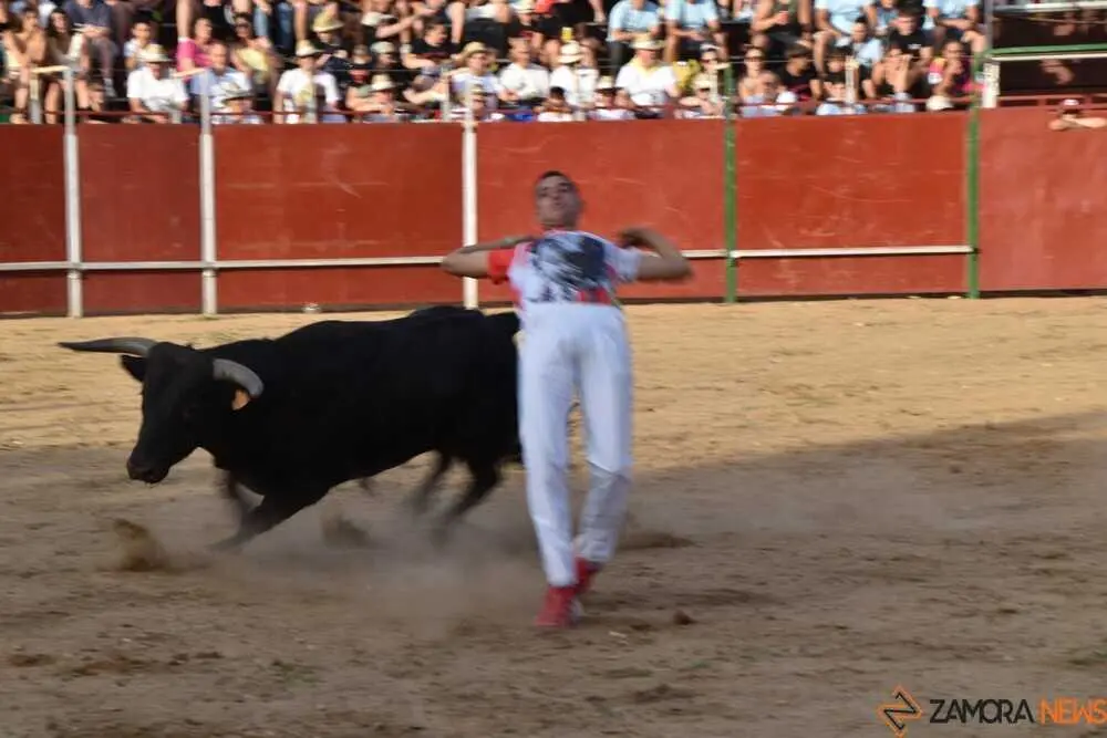 Cortes moraleja Zamora 2026_143