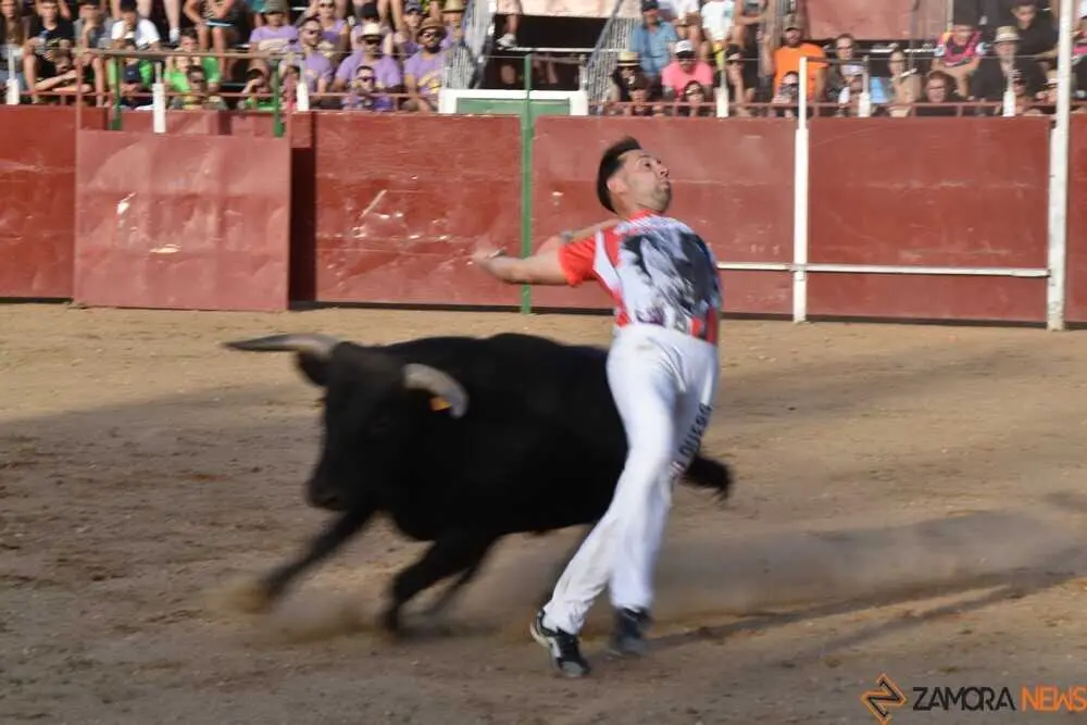 Cortes moraleja Zamora 2026_150