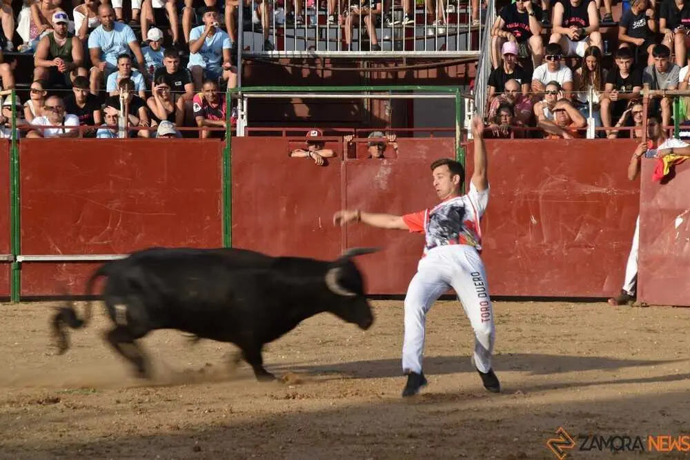 Cortes moraleja Zamora 2026_151