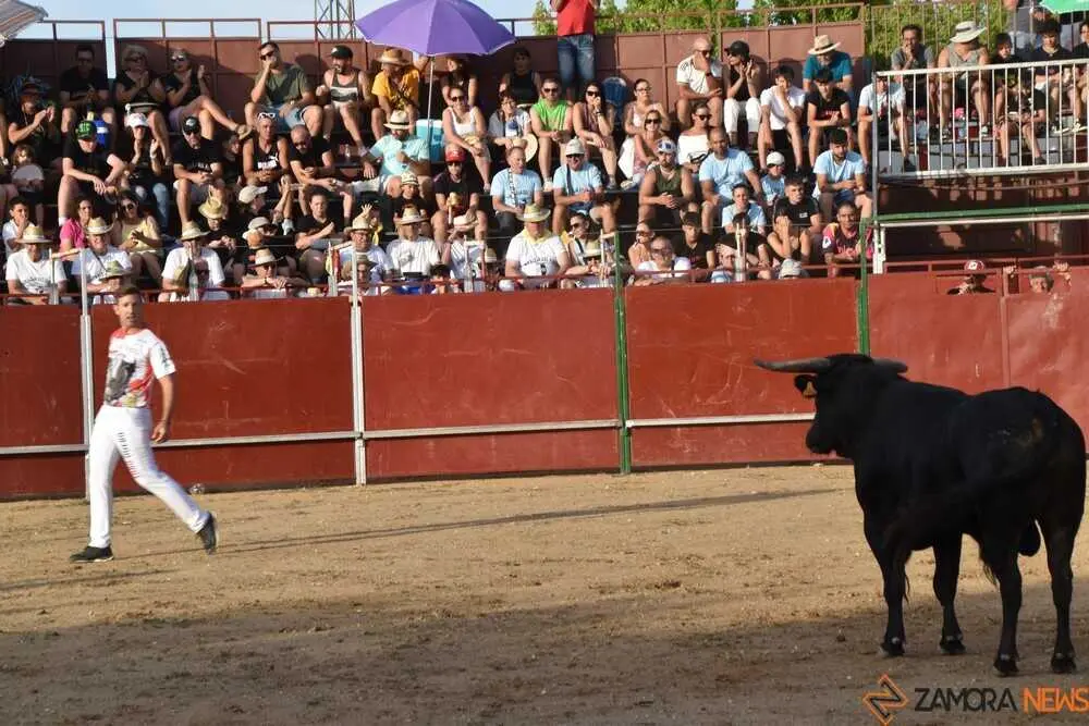 Cortes moraleja Zamora 2026_152