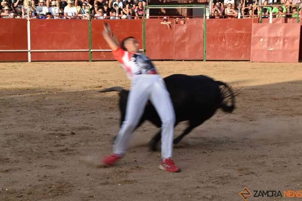 Cortes moraleja Zamora 2026_154