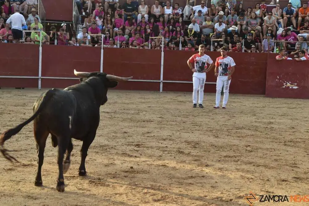 Cortes moraleja Zamora 2026_155