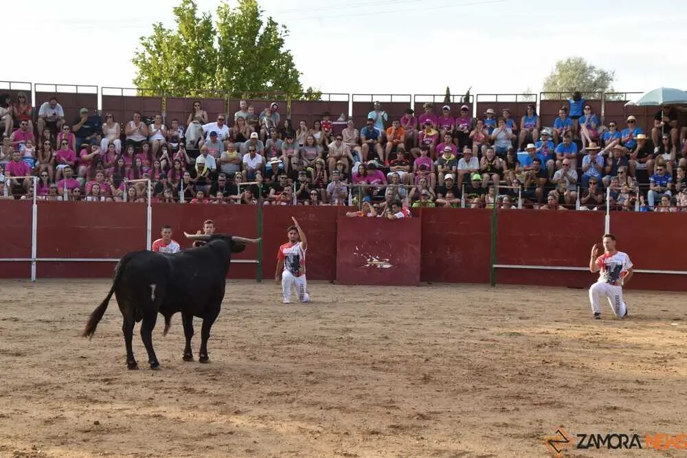 Cortes moraleja Zamora 2026_156