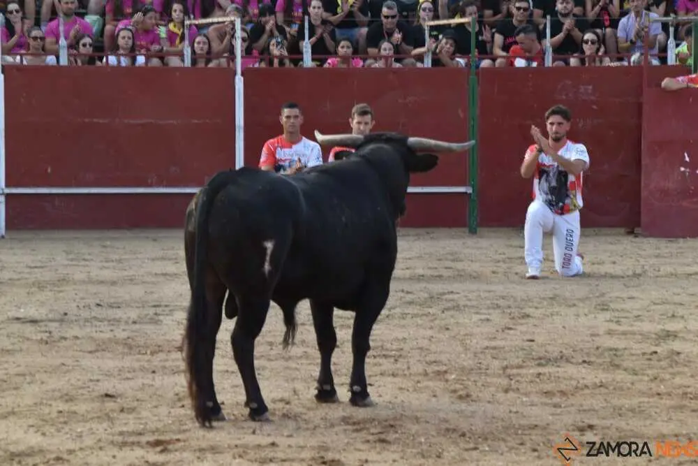 Cortes moraleja Zamora 2026_157