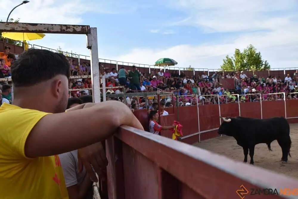 Cortes moraleja Zamora 2026_47