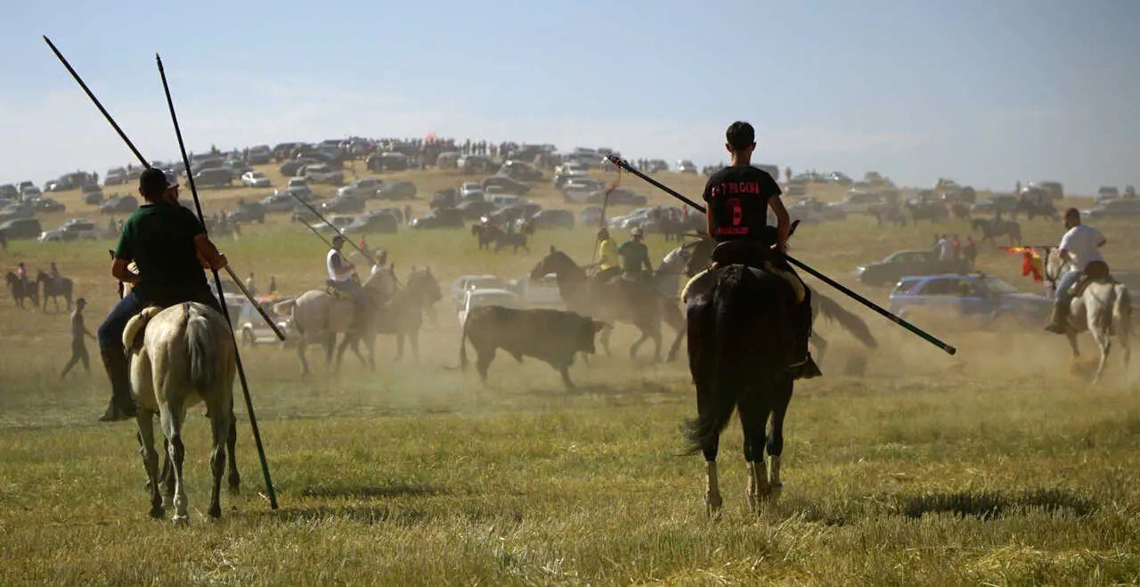 encierro campero moraleja