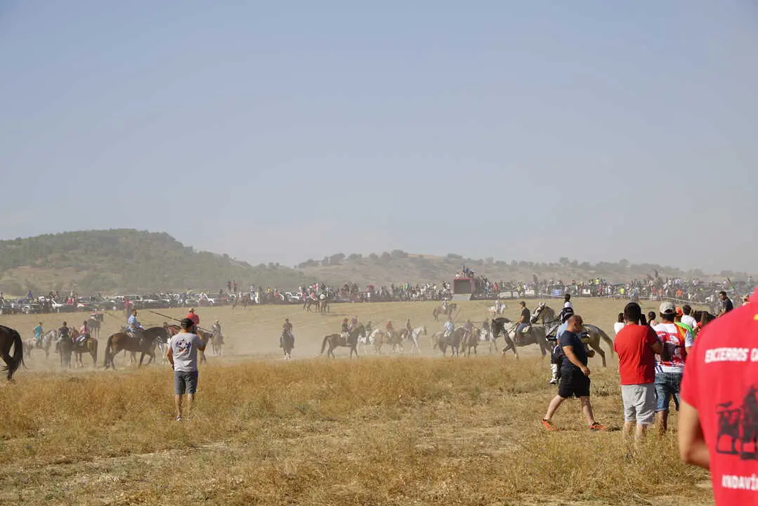 encierro moraleja 2026 (2)