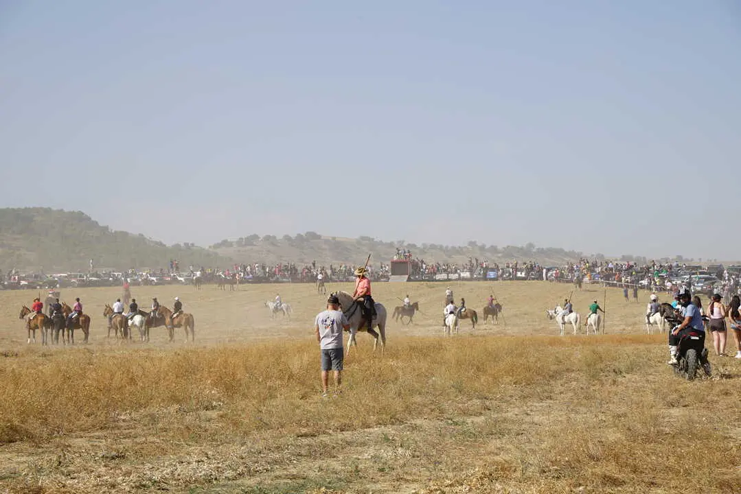 encierro moraleja 2026 (4)