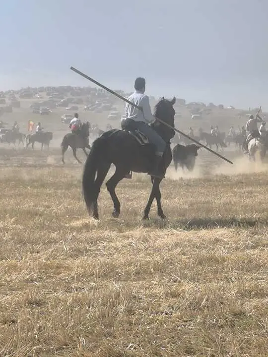 encierro moraleja 2026 (13)
