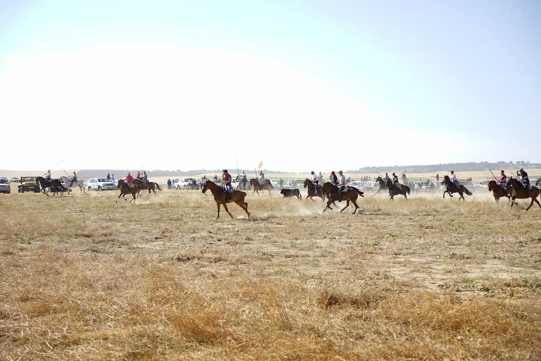 encierro moraleja 2026 (15)