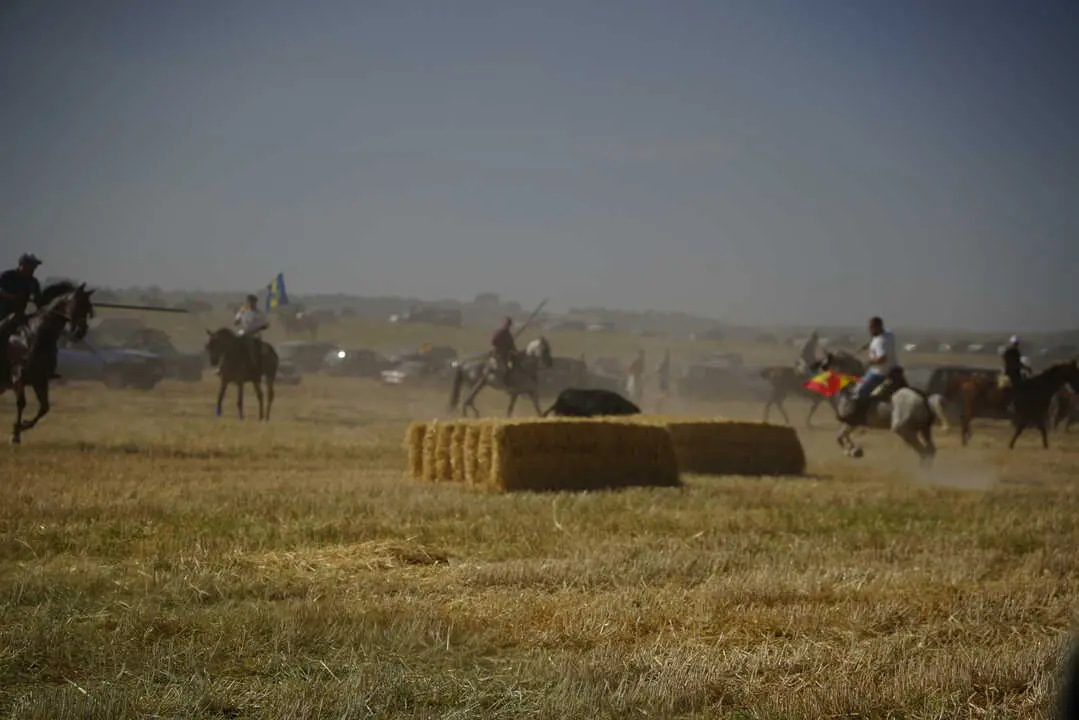 encierro moraleja 2026 (36)