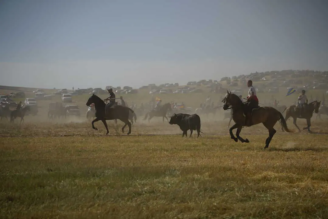 encierro moraleja 2026 (52)