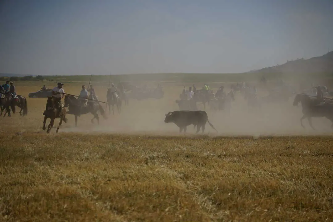 encierro moraleja 2026 (55)