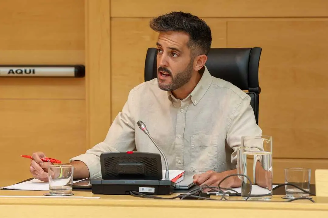 Javier Garc&iacute;a PSOE Cortes