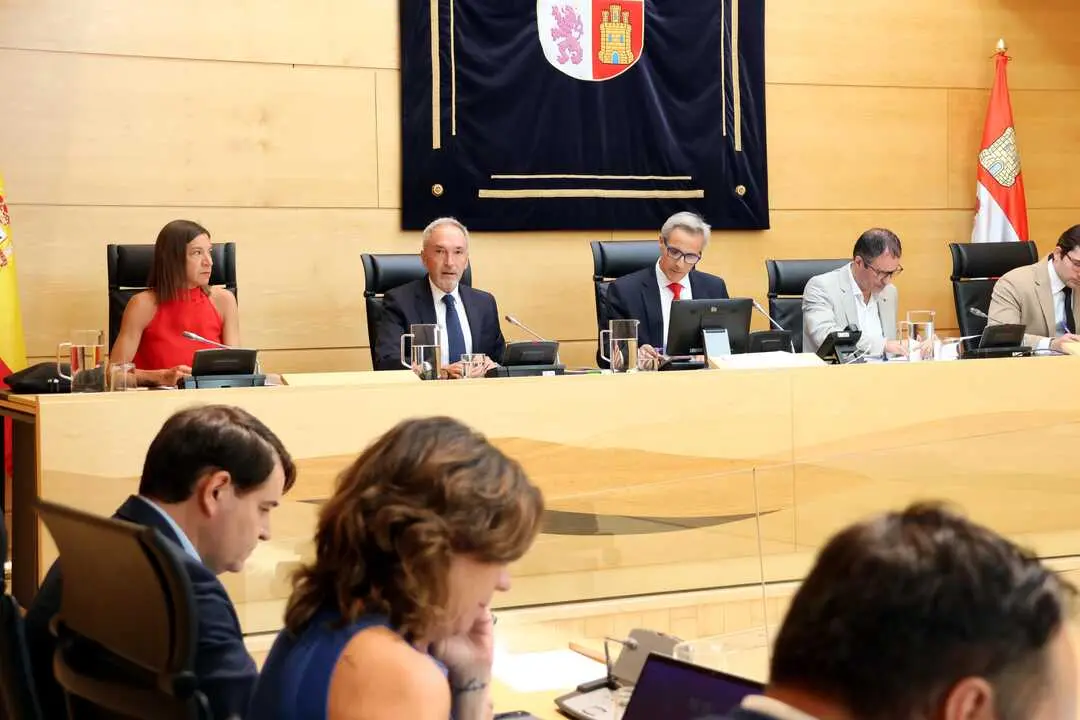 Comparecencia cultura Cortes de Castilla y Le&oacute;n