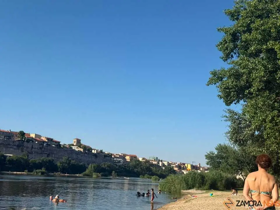 Los pelambres D&iacute;a soleado 