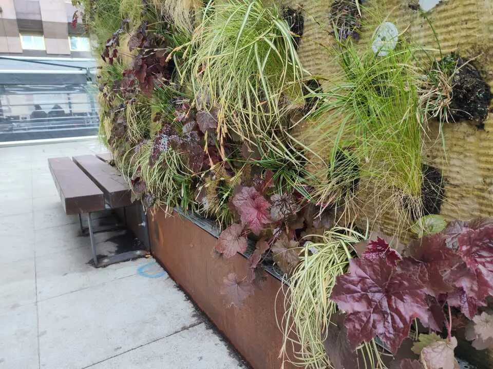 Uno de los jardines verticales instalados en la capital zamorana